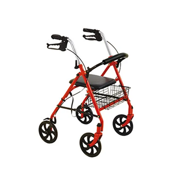 Deambulatore 4 Ruote da Esterno Plus